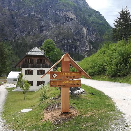Organic Tourist Farm Pri Plajerju Apartment Trenta Bagian luar foto