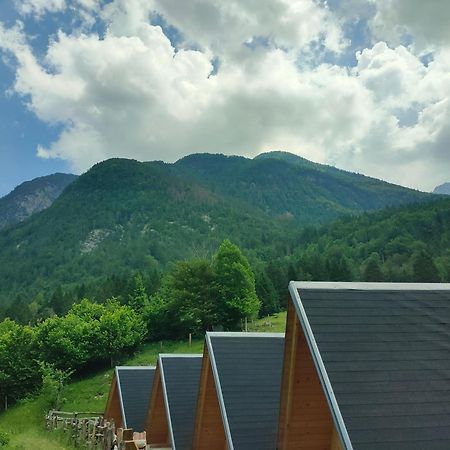 Organic Tourist Farm Pri Plajerju Apartment Trenta Bagian luar foto