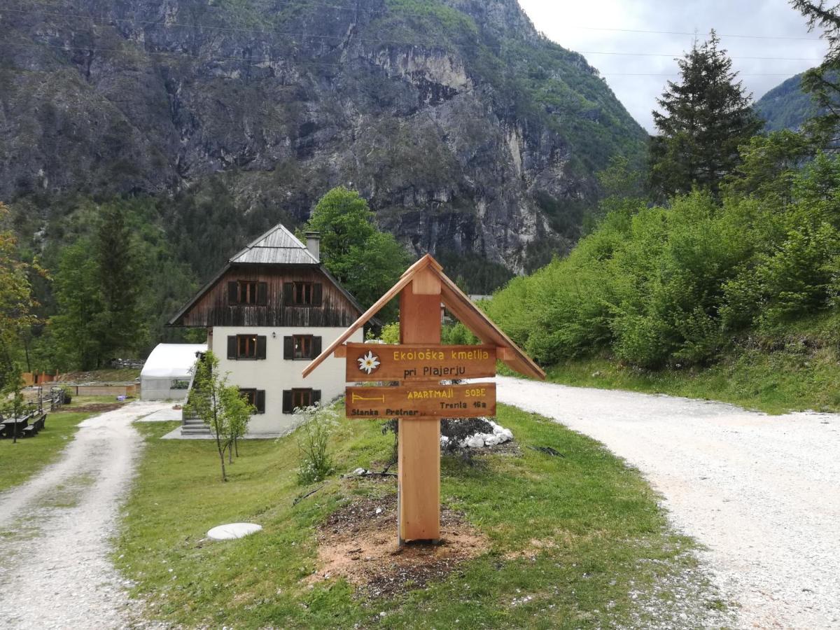 Organic Tourist Farm Pri Plajerju Apartment Trenta Bagian luar foto