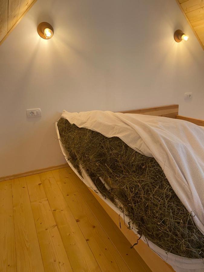 Organic Tourist Farm Pri Plajerju Apartment Trenta Bagian luar foto